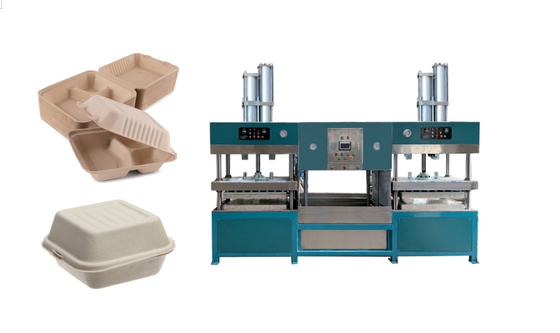 Máquina da lancheira da parte superior do molde da polpa da prova de óleo para produzir a caixa da salada