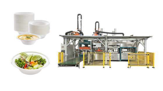 6000 PCes/máquina de molde de pressão molhada polpa da hora para utensílios de mesa