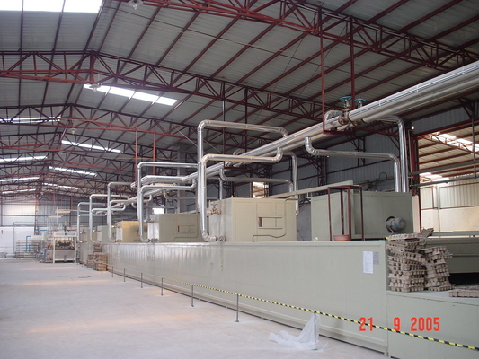 Linha totalmente automático de Tray Machine Egg Packaging Drying do ovo