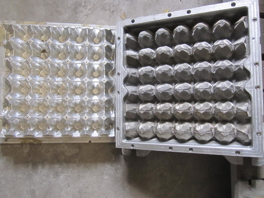 ovo decorado Tray Mould da celulose 3D 30 furos 5 anos de vida
