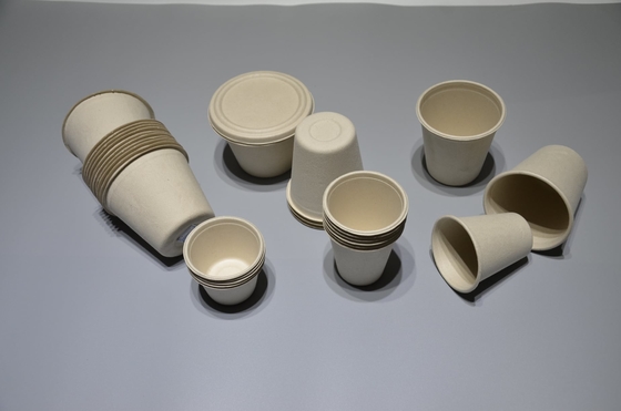 Máquina de molde biodegradável automatizada da polpa do bagaço da cana-de-açúcar com o manipulador de passeio horizontal dobro