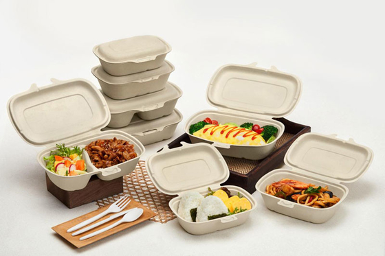 Linha de produção totalmente automático dos utensílios de mesa da polpa com o braço de passeio horizontal do robô
