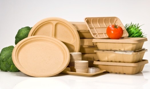 Robô inteiramente auto da linha central de Tray Making Machine With 6 do alimento afastado da fibra do bagaço