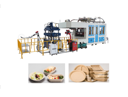 Máquinas de moldagem de pasta de papel biodegradável recipiente de alimentos descartável 1 ano de garantia