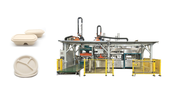 Almoço biodegradável Tray Pulp Molded Production Machine
