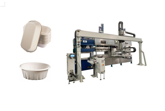 Polpa biodegradável carne moldada Tray Machine