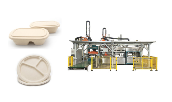 Serviço totalmente automático Tray Production Line do alimento da polpa de madeira