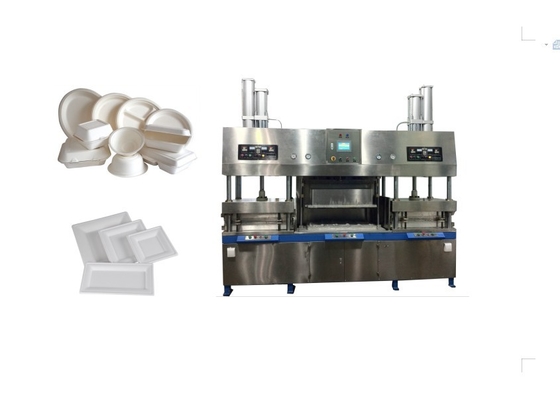 Polpa biodegradável fast food moldado Tray Equipment