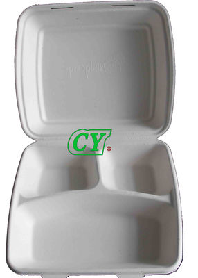 Máquina Compostable manual da imprensa de Tray Dry In Mold Wet da cana-de-açúcar da maquinaria do molde da celulose do PLC