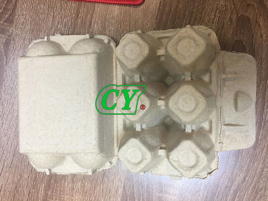 Garantia de 6 células de 4 células reciclada biodegradável de 1 ano do molde da celulose