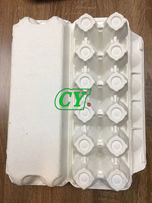 Ovo moldado biodegradável Tray Recycle Egg Box da polpa dos produtos da celulose