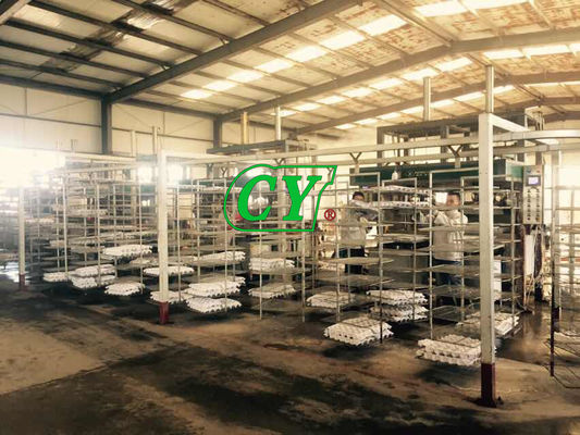 Linha de produção amigável da caixa do ovo da máquina de secagem da polpa de Eco