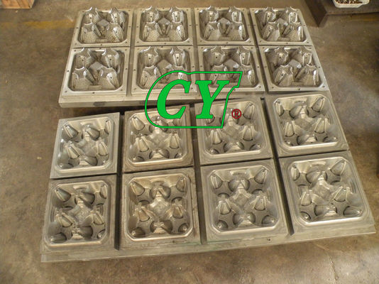 Tecnologia dimensional de Tray Egg Tray Mould Three do café da celulose